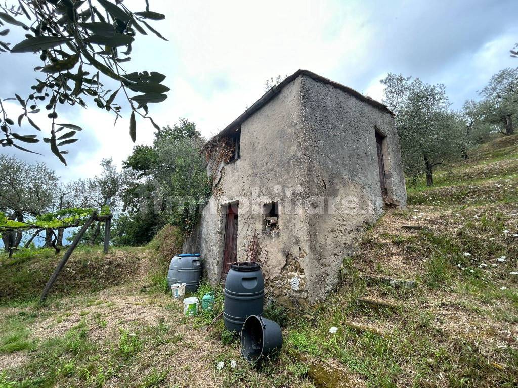 WhatsApp Image 2023-08-04 at 09.27.36 (4).jpeg