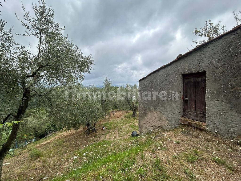 WhatsApp Image 2023-08-04 at 09.27.36.jpeg