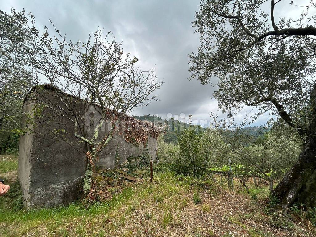 WhatsApp Image 2023-08-04 at 09.27.34 (1).jpeg