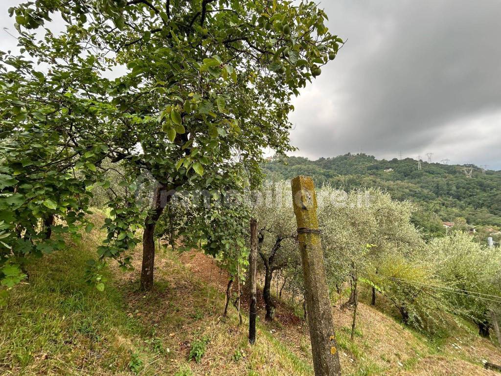 WhatsApp Image 2023-08-04 at 09.27.34 (2).jpeg