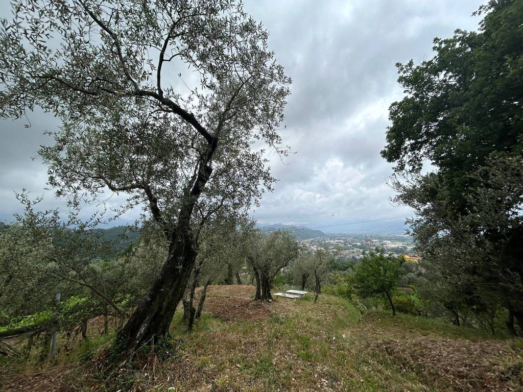 WhatsApp Image 2023-08-04 at 09.27.34 (3).jpeg