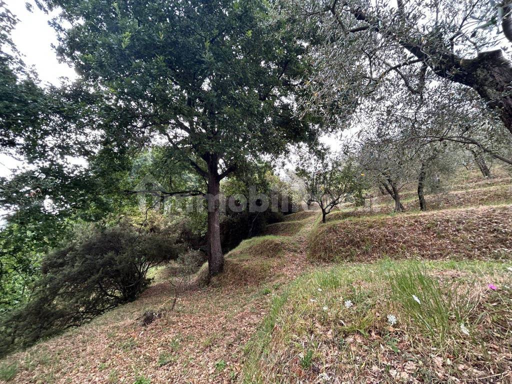 WhatsApp Image 2023-08-04 at 09.27.34.jpeg