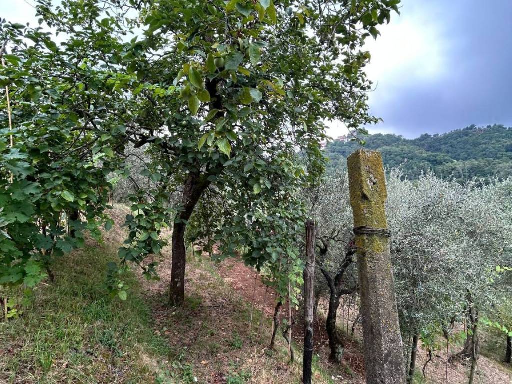 WhatsApp Image 2023-08-04 at 09.27.35.jpeg