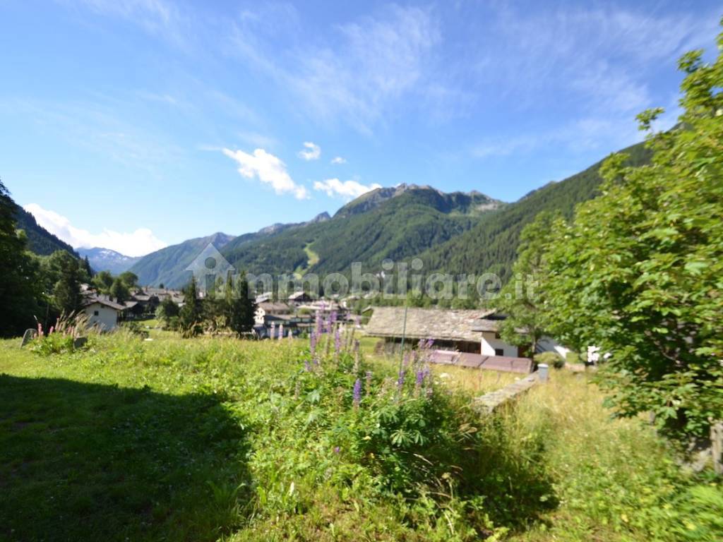 PANORAMICA TERRENO