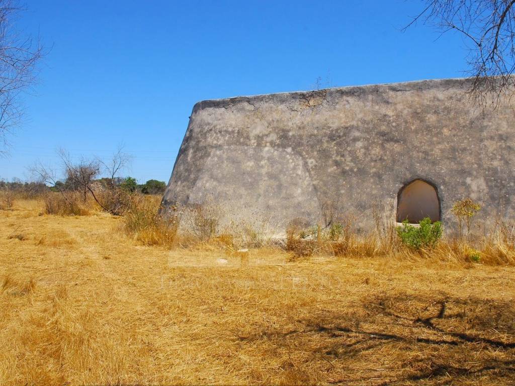 Terreno agricolo via torino, morciano di leuca