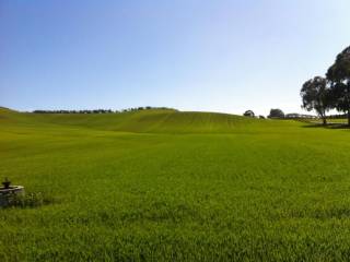 Terreno