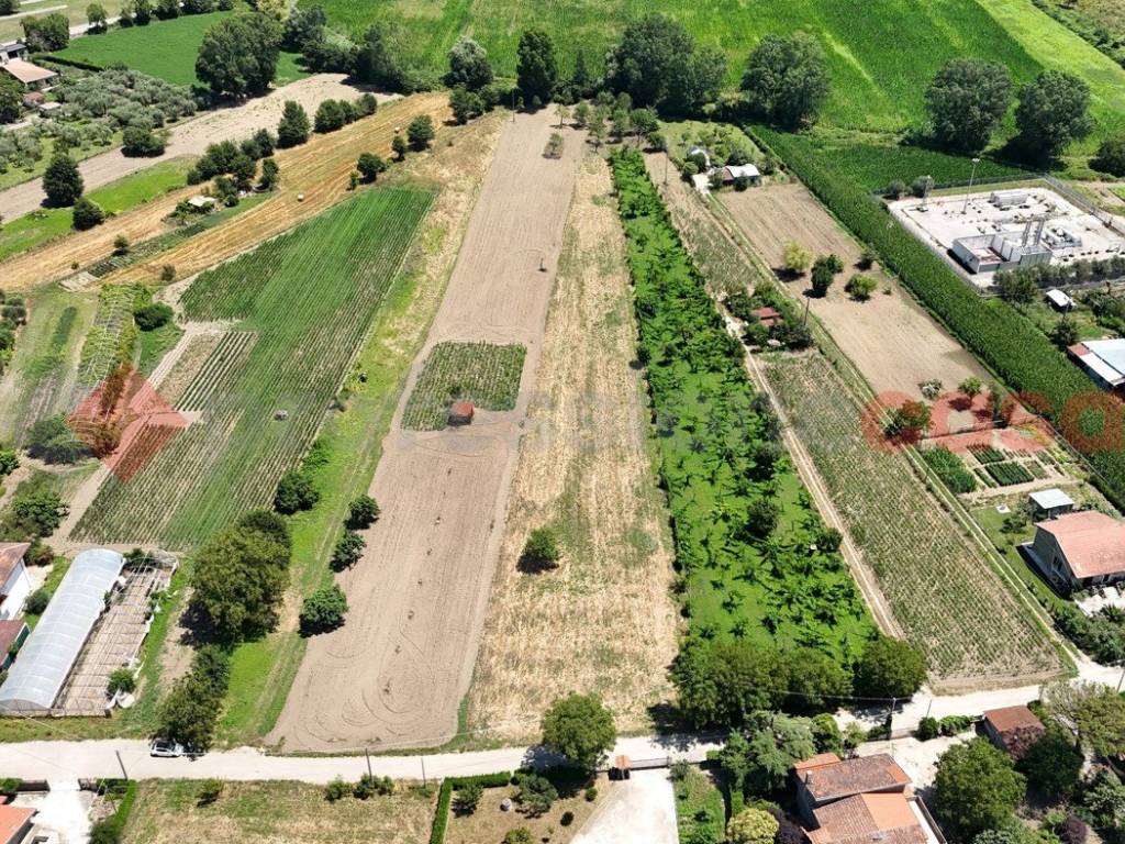 Terreno agricolo via capitorre, snc, montesarchio