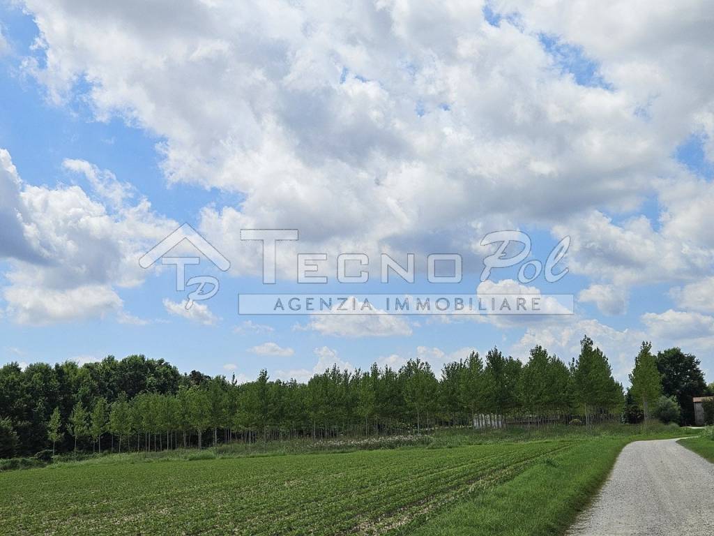 Terreno agricolo via caltana, centro, campodarsego