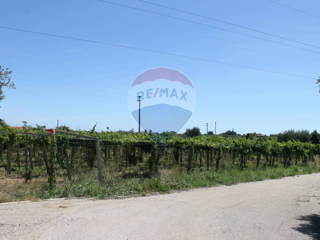 Terreno agricolo, rocca san giovanni