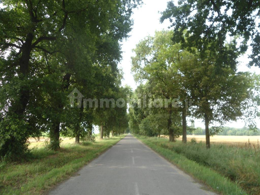 viale