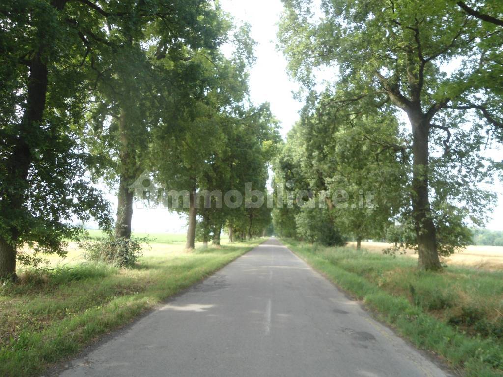 viale