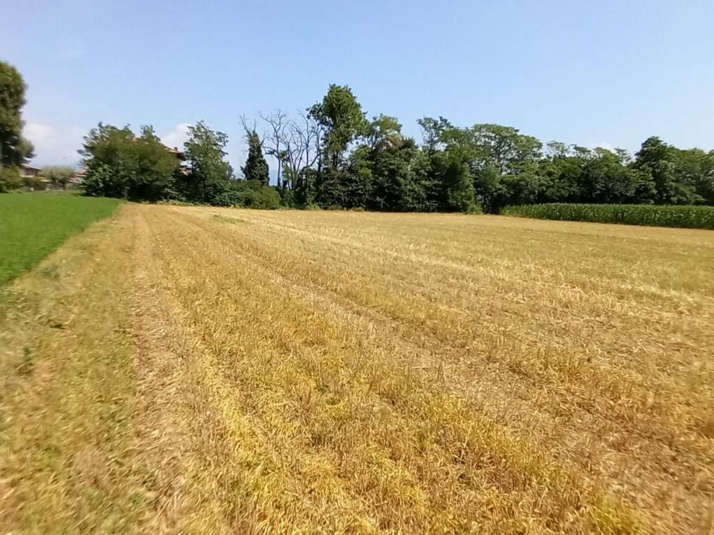 Terreno agricolo via fratelli john e robert kennedy 21, bolgare
