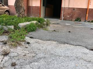 esterno