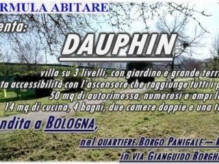 Dauphin - Copertina