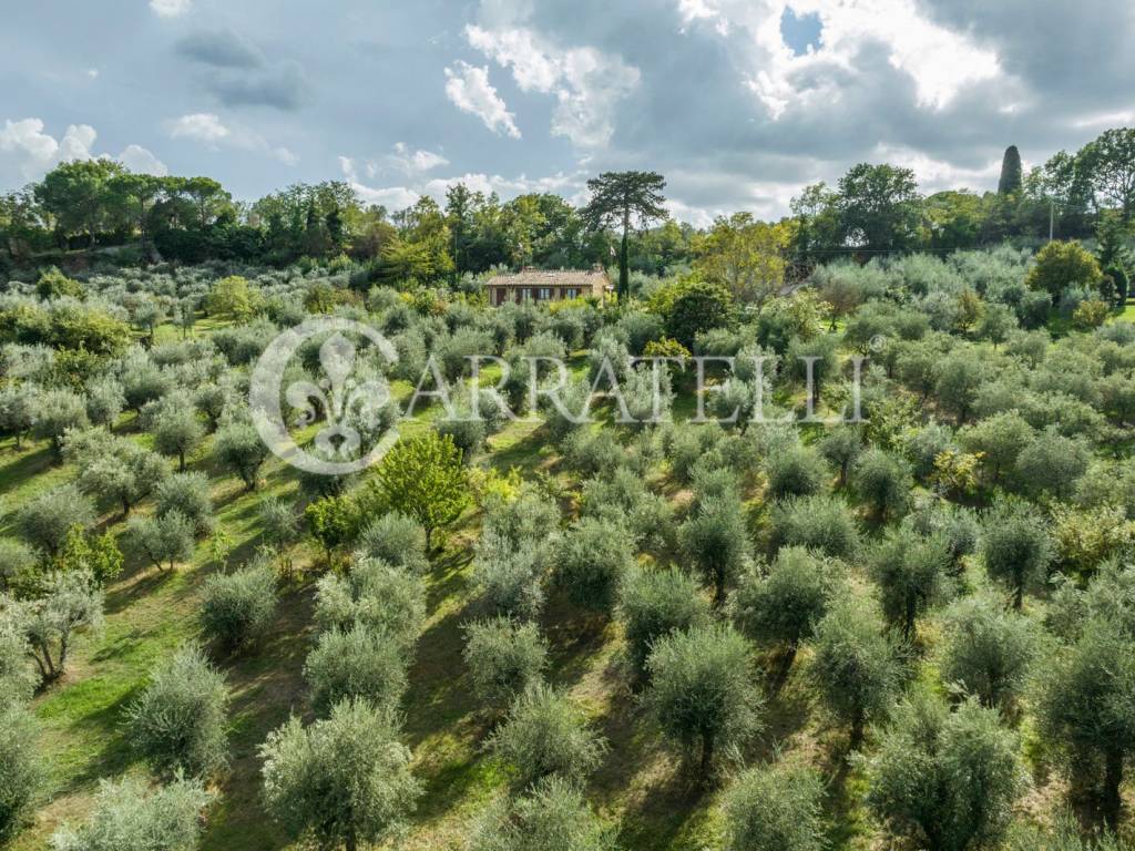 szd_Casale con terreno a Montepulciano_L1_6803_014