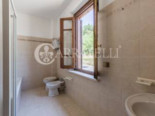 Casolare in campagna con annessi agricoli e terren