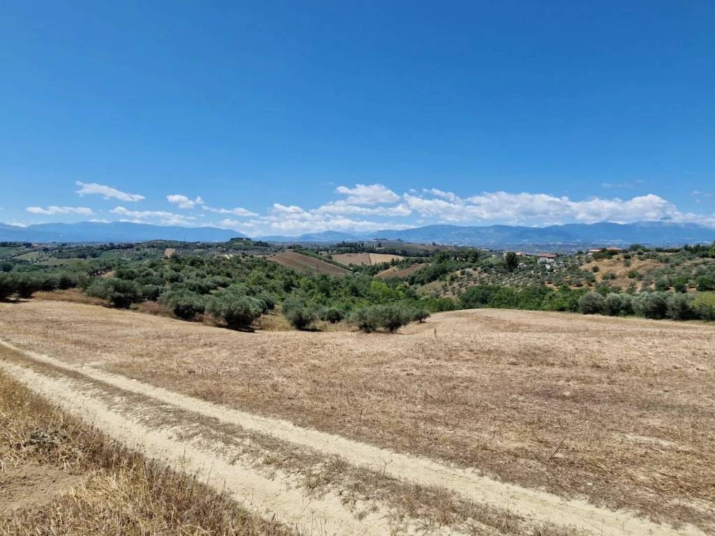 Terreno agricolo via dei mandorli, spoltore