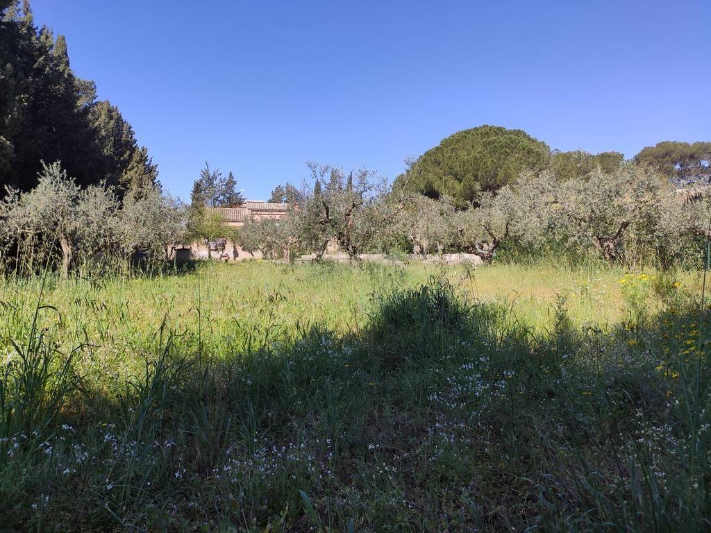 Terreno edificabile via cappuccini vecchi 1, centro, caltagirone