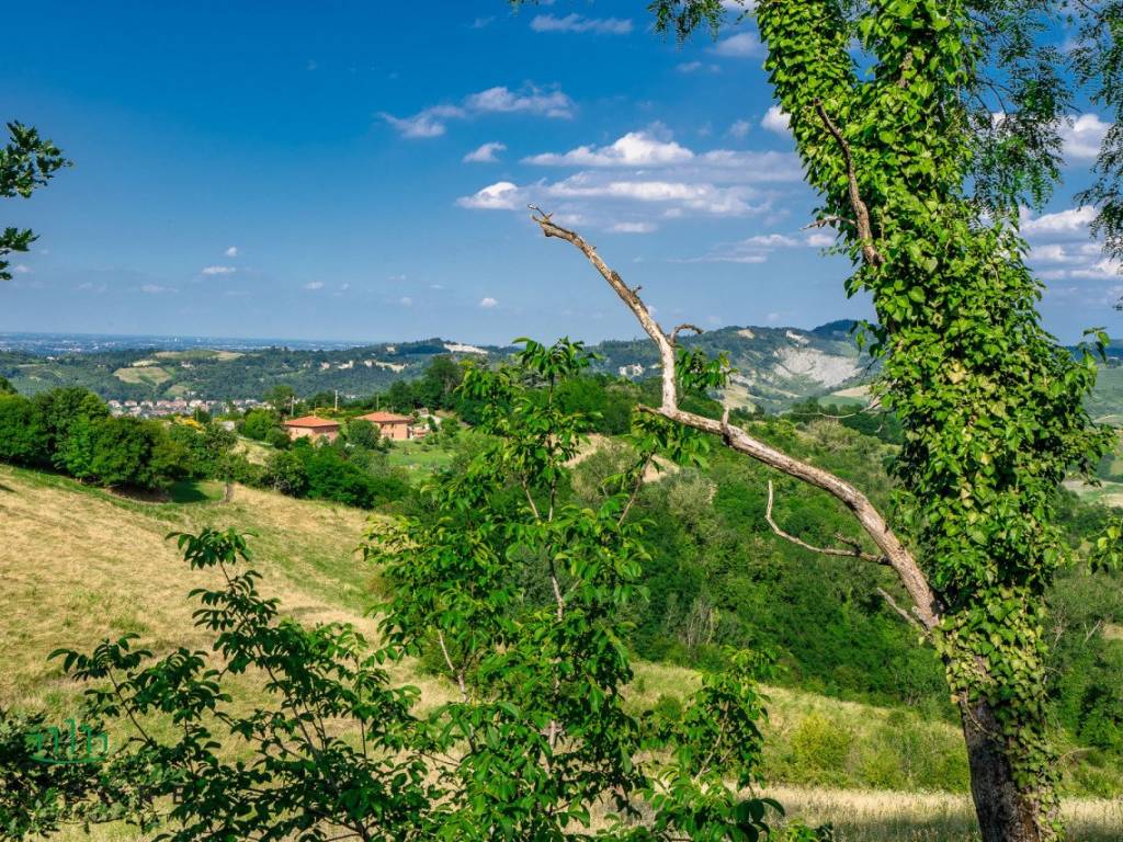 azienda vinicola pignoletto monteveglio 25