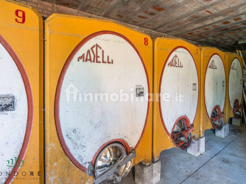 azienda vinicola pignoletto monteveglio 77