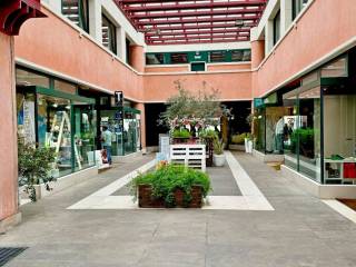 Zona
