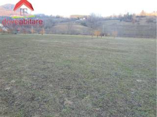 immagine generica terreno campione