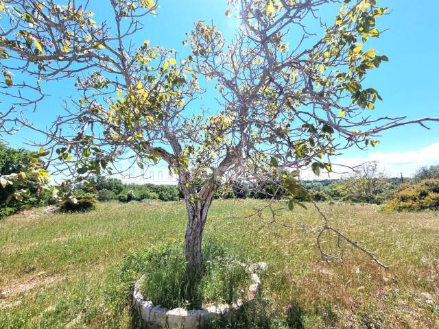 trullo