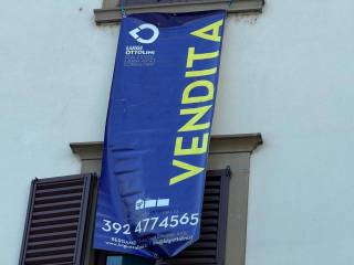 Zona