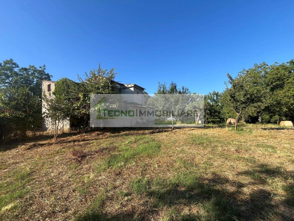 Terreno