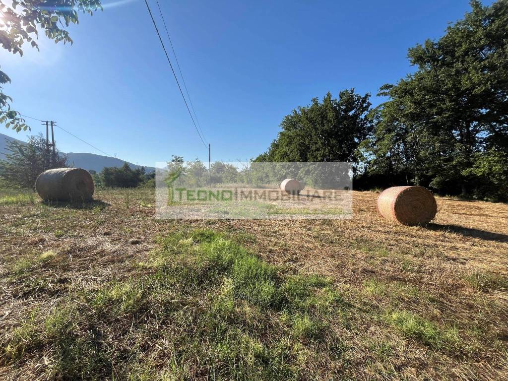 Terreno