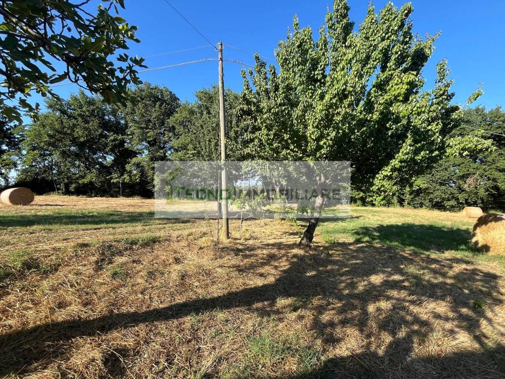 Terreno