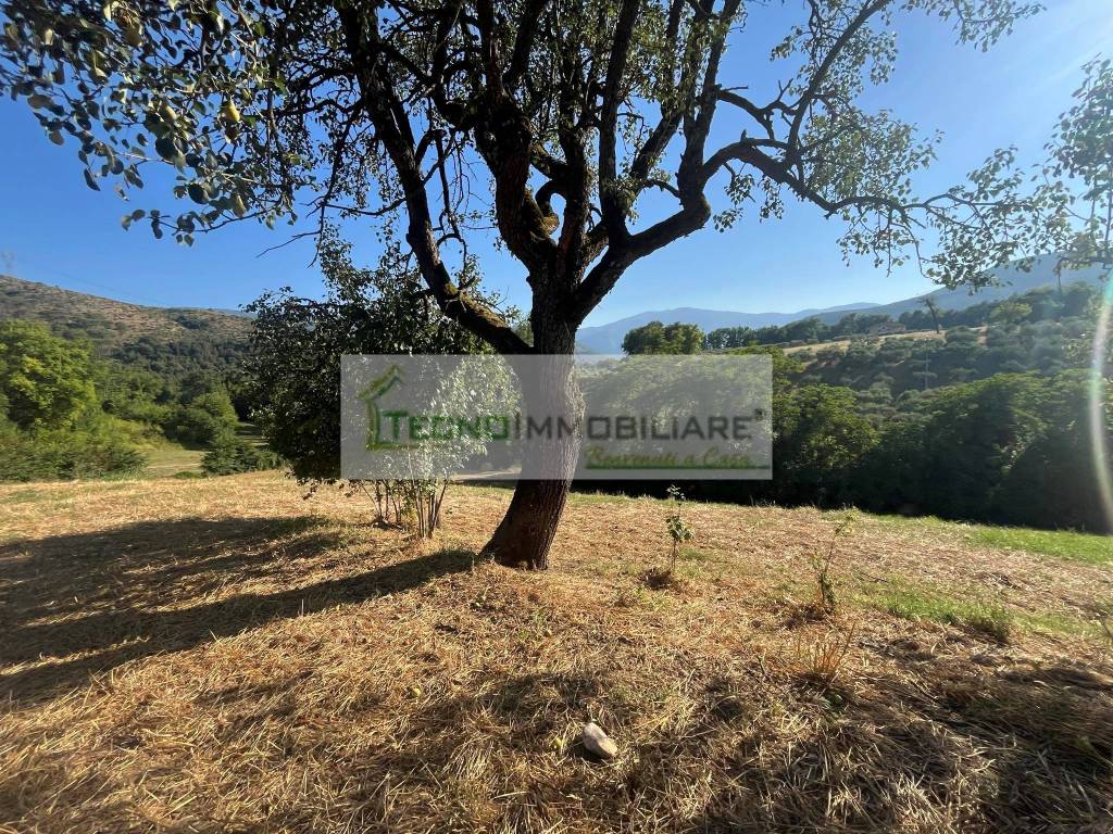Terreno