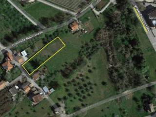 Immagine 2024-07-12 194948.jpg