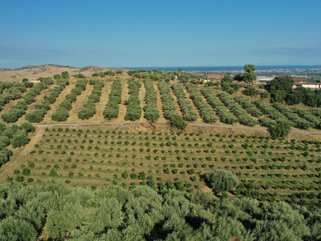 Terreno agricolo via antonello da messina, motta sant'anastasia