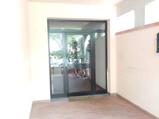 INGRESSO