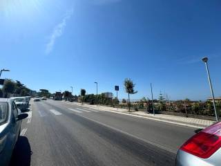 Zona
