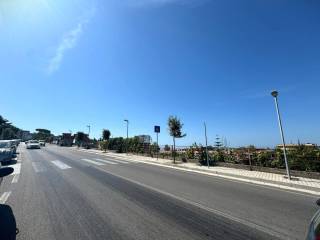 Zona