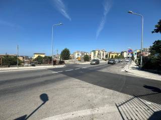 Zona