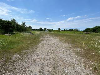 img 1850   dimensioni grandi