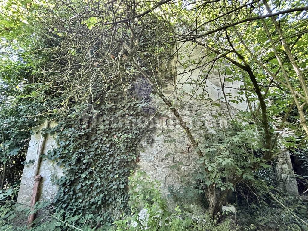 Contadino