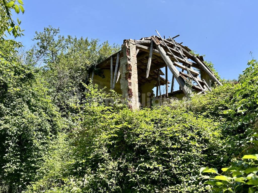 Contadino