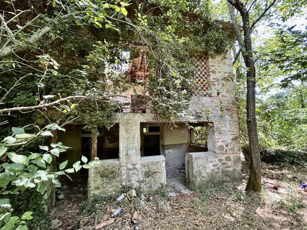Contadino