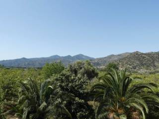 Vista