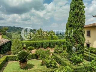 Superba villa storica sulle colline con oliveta