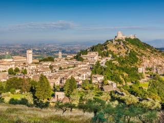 assisi