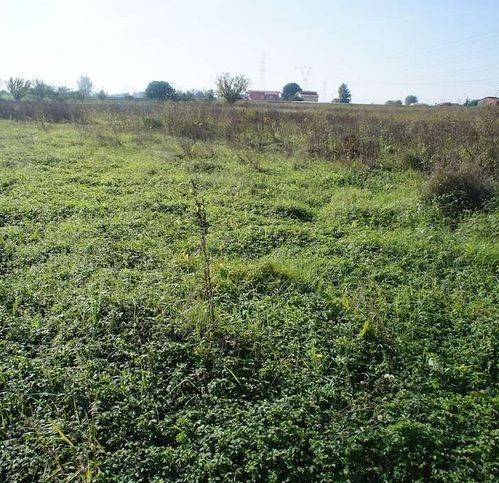 Terreno agricolo via di stelle 29, alberghi, via romana, pescia morta, pescia