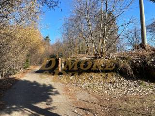 14 IMG_1271.JPG