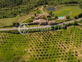 Azienda agricola con ricettività e piscina a Siena