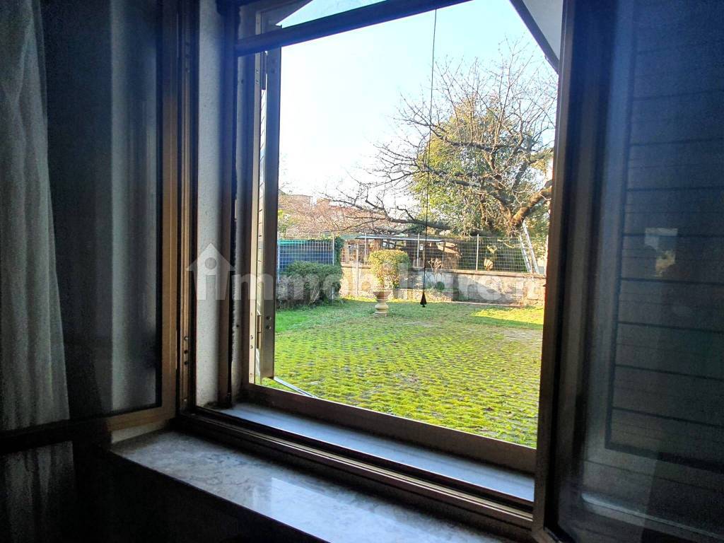 Vista