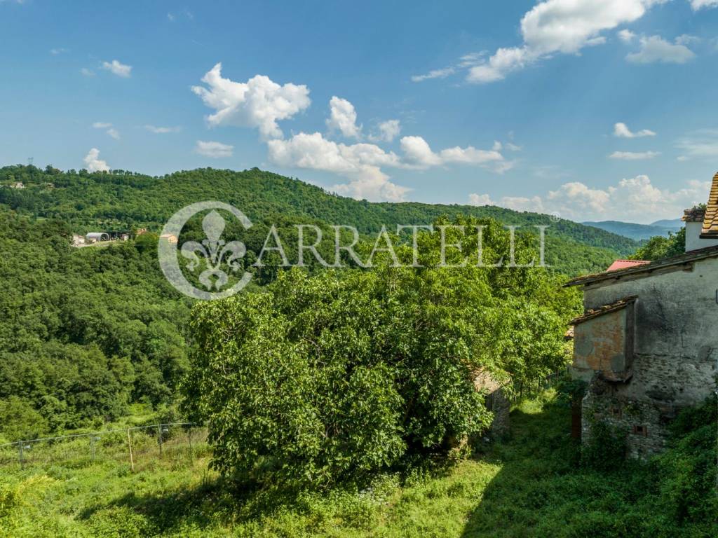 Borgo co azienda agricola a Barberino di Mugello